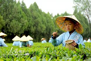 ?前NBA球星考辛斯将加盟中国台湾T1联赛台啤云豹队